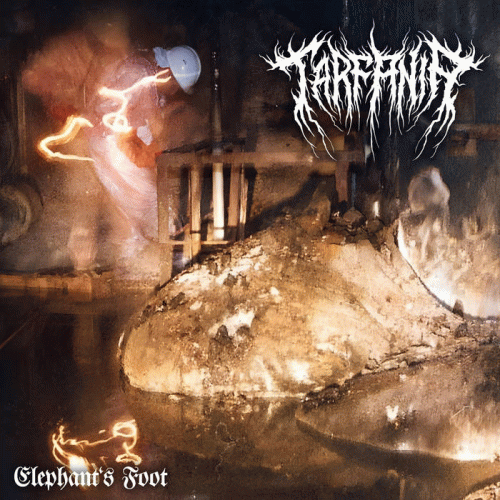 Tarfania : Elephant's Foot